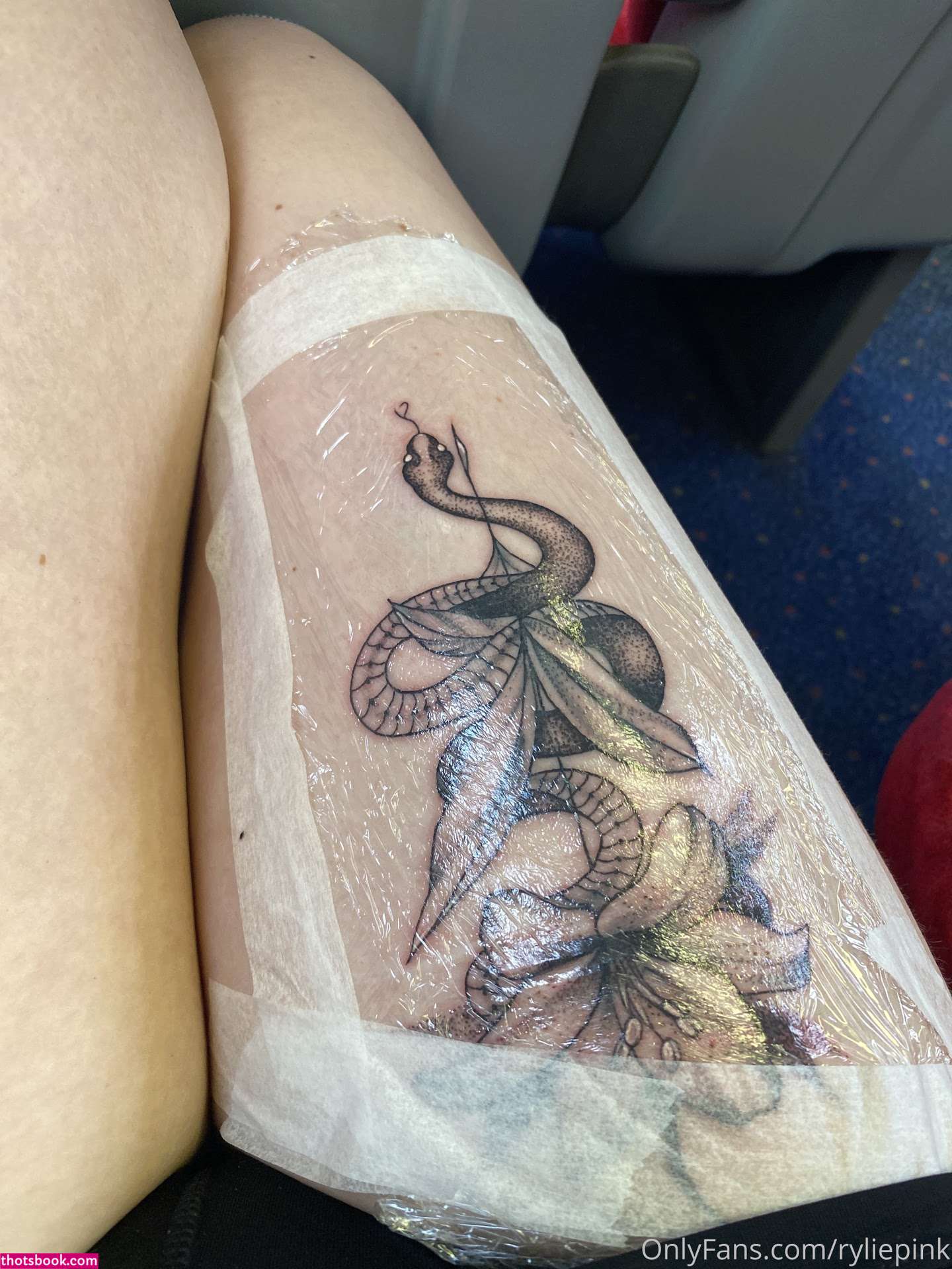 RileyPink aleciaamaay Nude OnlyFans Photos #15 1096399