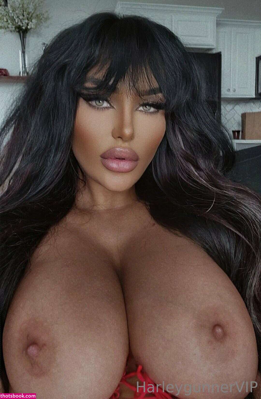 harleygunner harleygunnervip rideharley Nude OnlyFans Photos #3 1072111