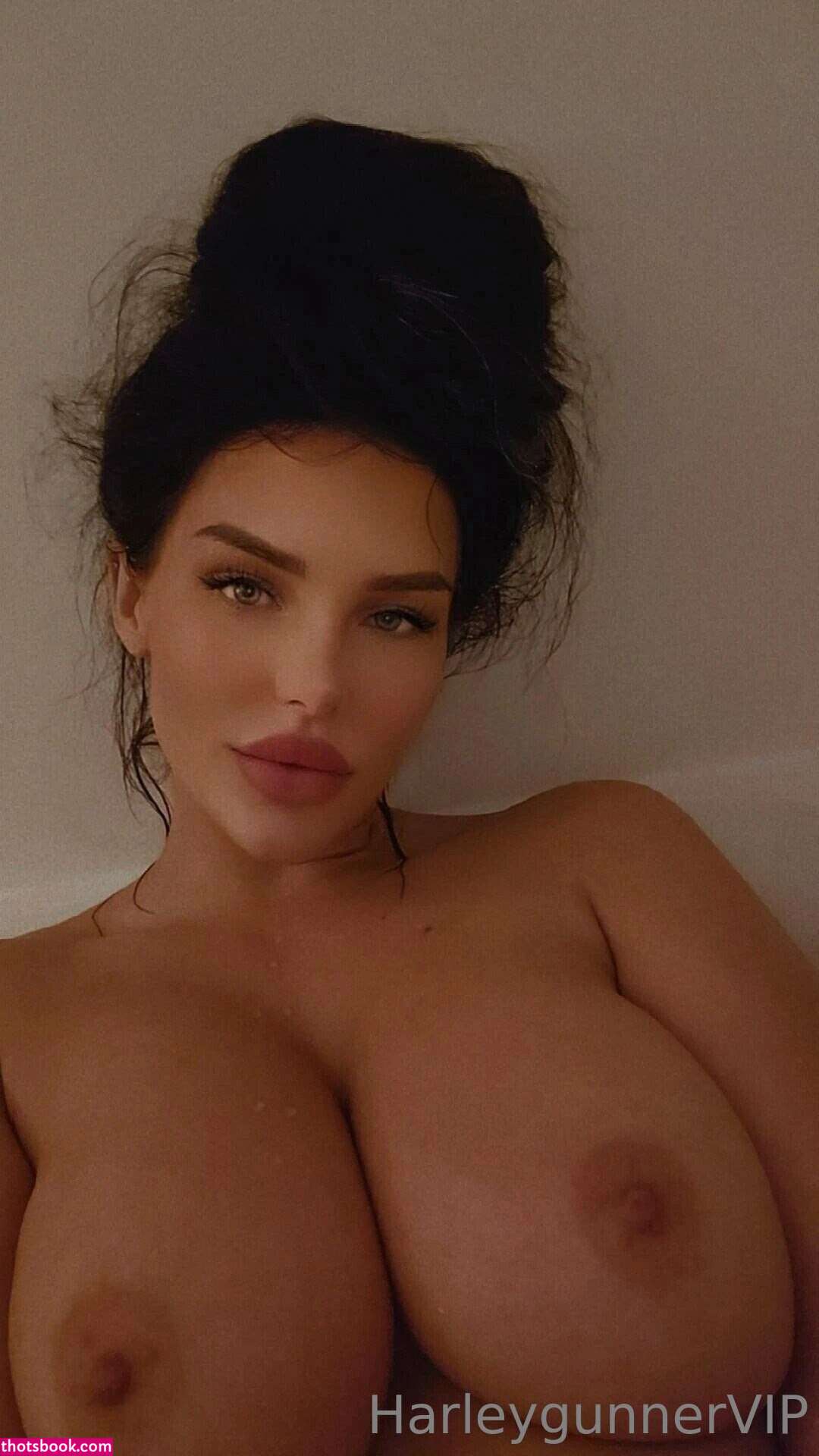 harleygunner harleygunnervip rideharley Nude OnlyFans Photos #5 1072121