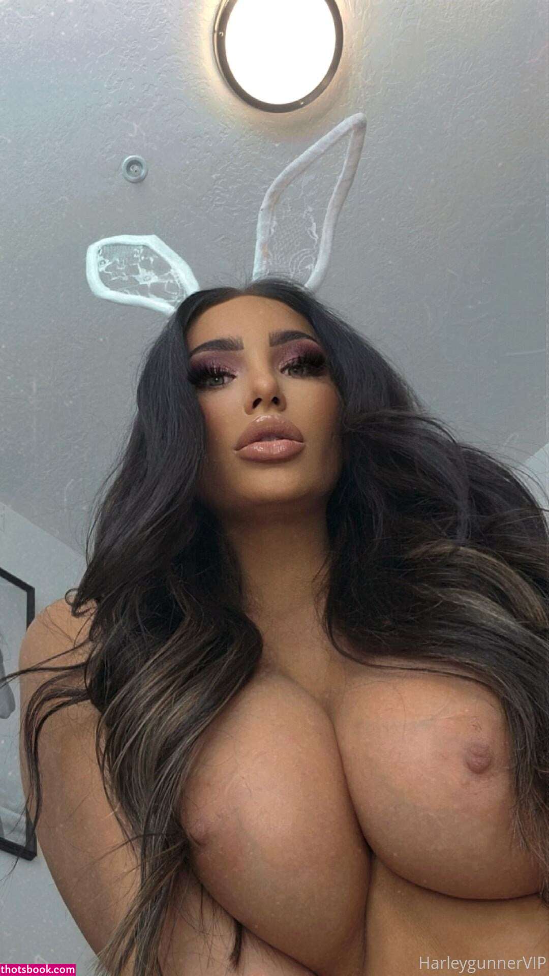 harleygunner harleygunnervip rideharley Nude OnlyFans Photos #6 1072127