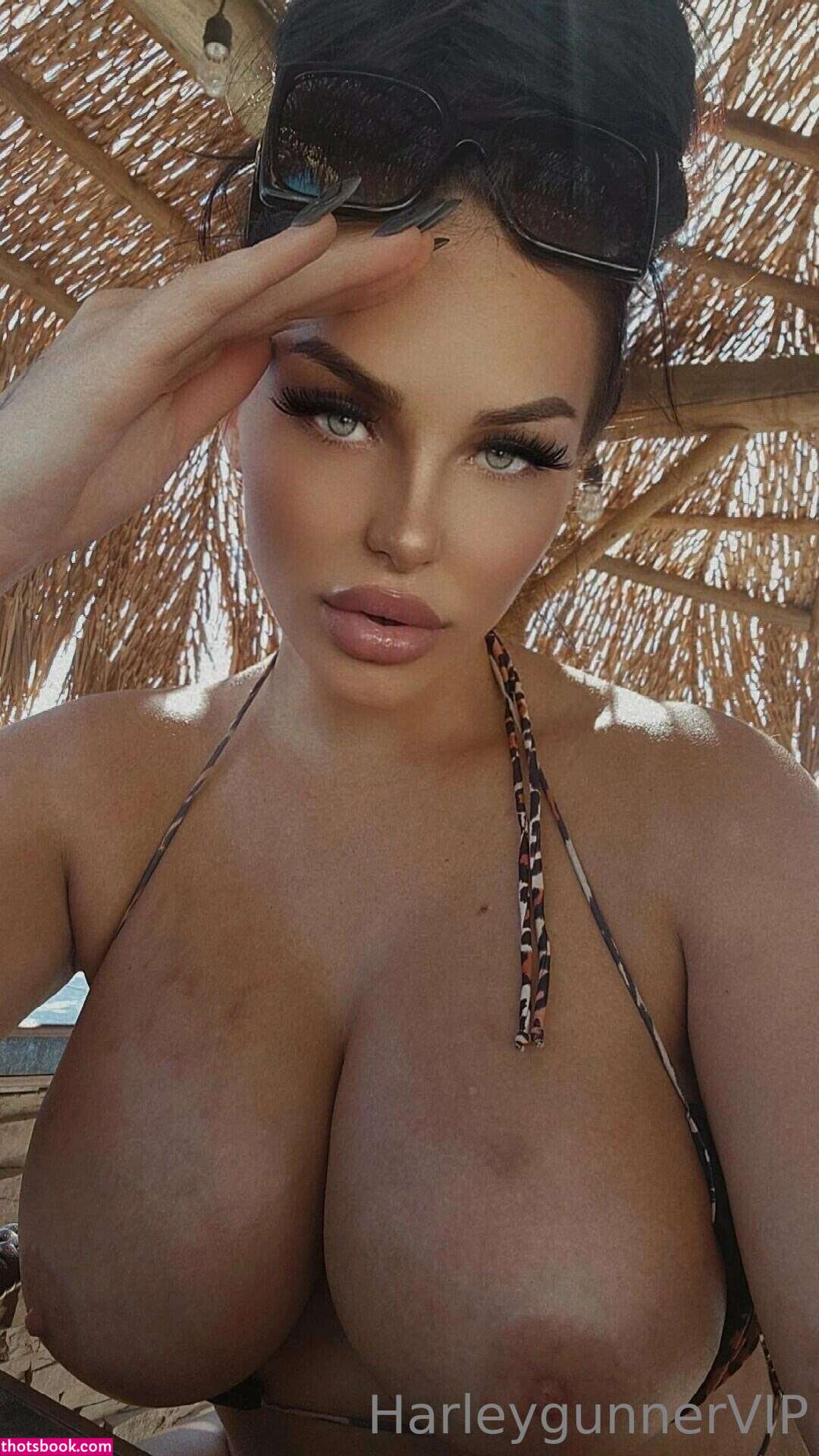 harleygunner harleygunnervip rideharley Nude OnlyFans Photos #6 1072128