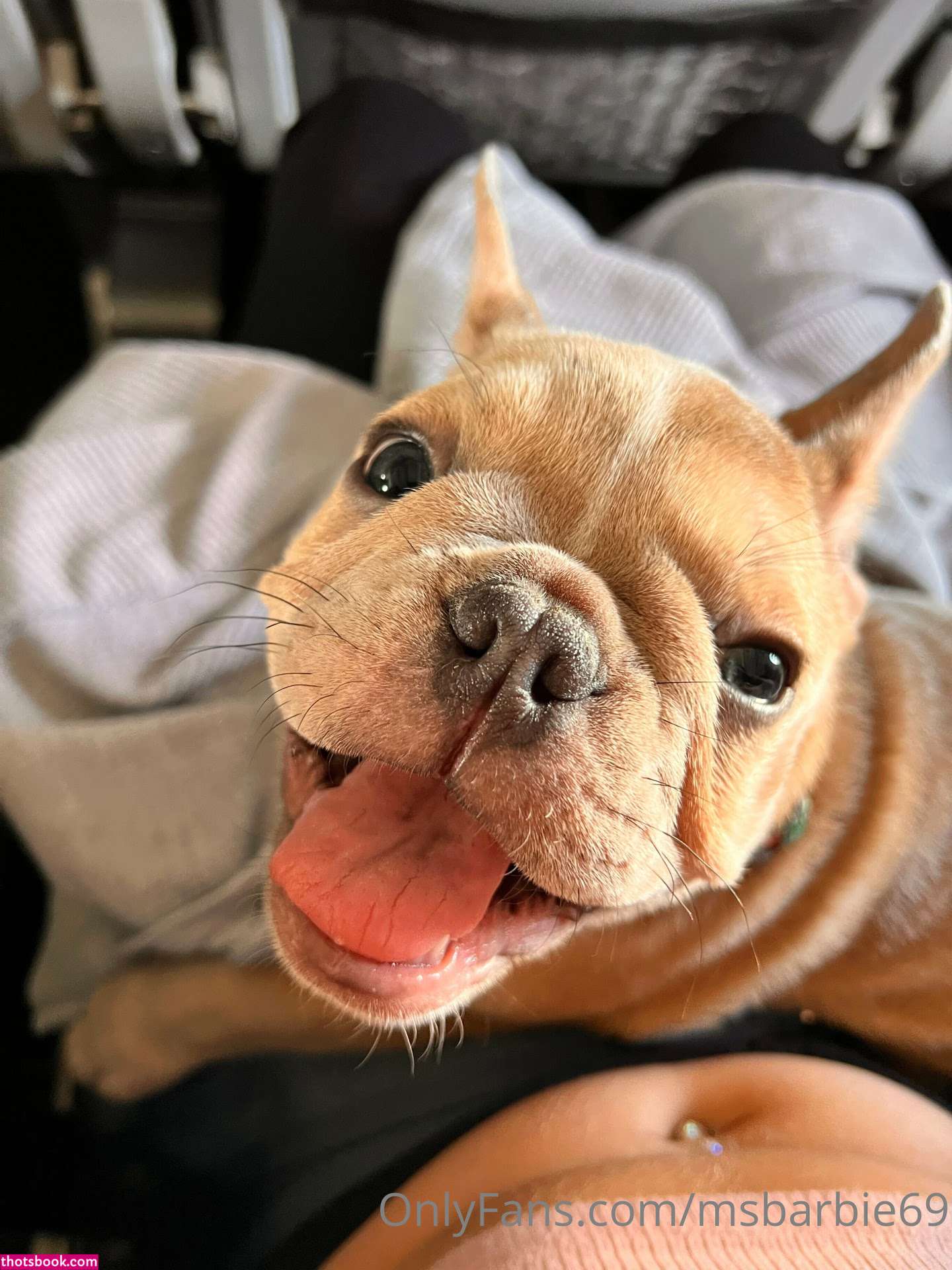 MsBarbie69 Nude OnlyFans Photos #15 1098671