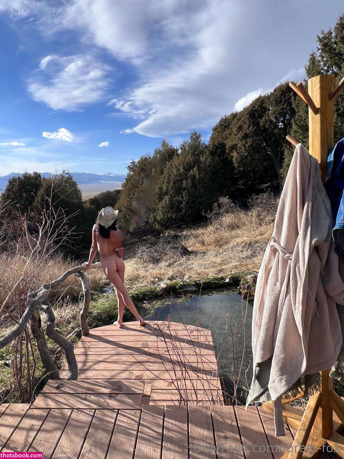 forest fox Nude OnlyFans Photos #10 1091896