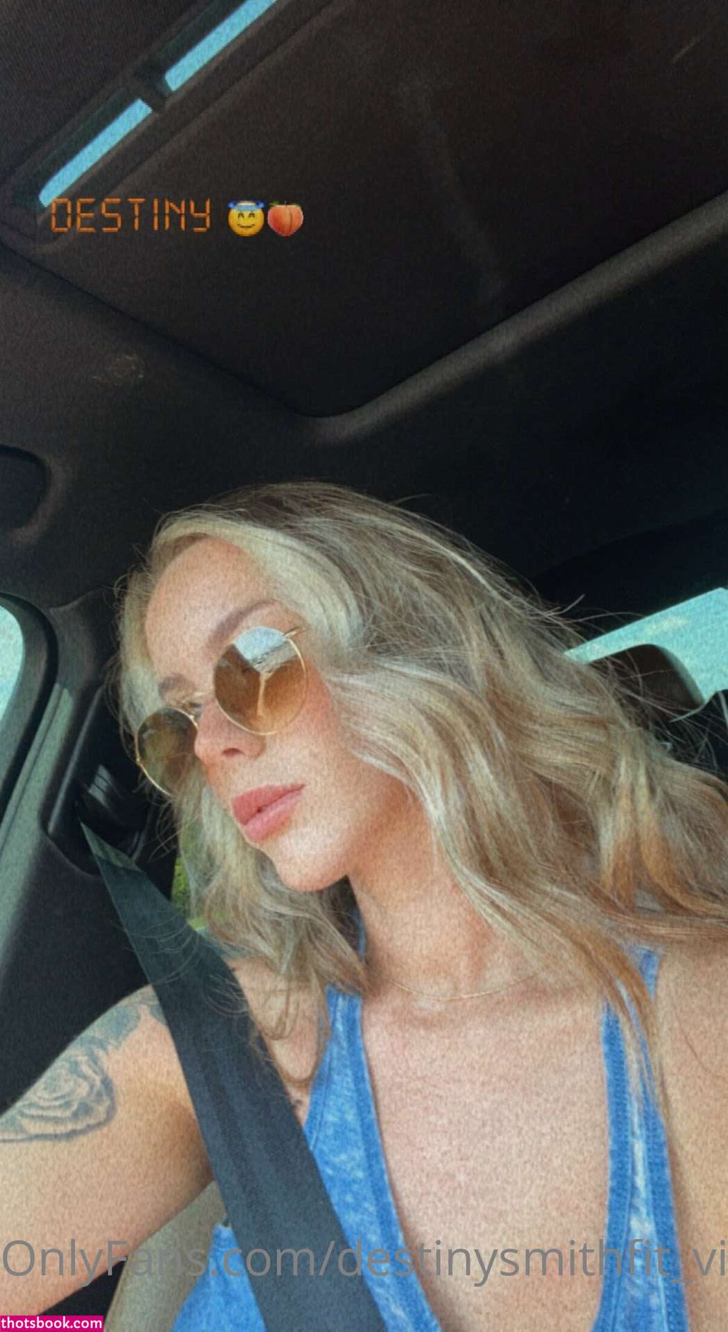 Destinysmithfit Nude OnlyFans Photos #12 1041947