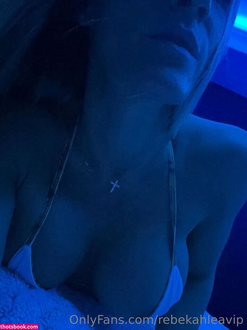 Rebekah Lea Willich Nude OnlyFans Photos #9 1059802