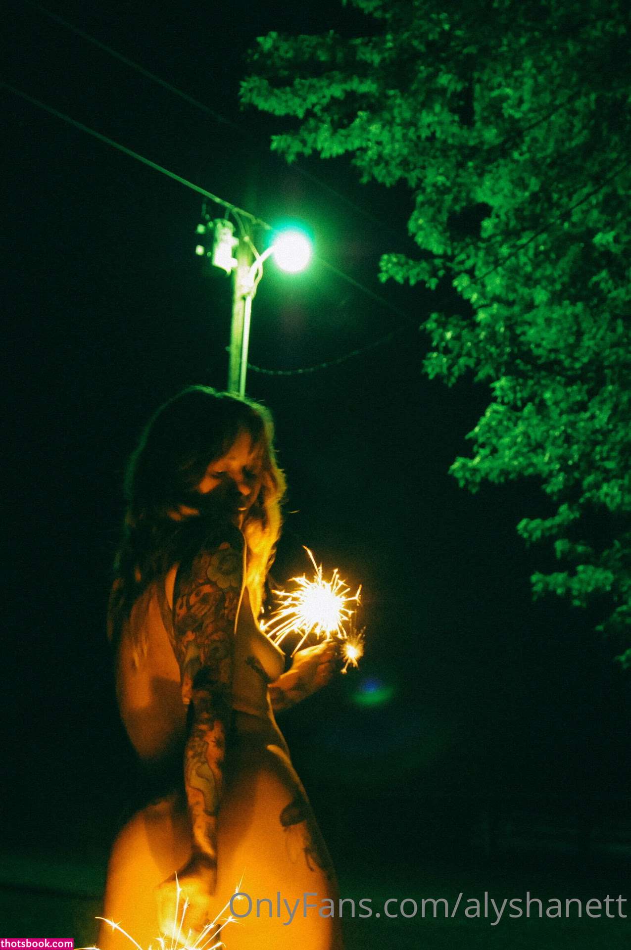 Alysha Nett Nude OnlyFans Photos #17 1086297