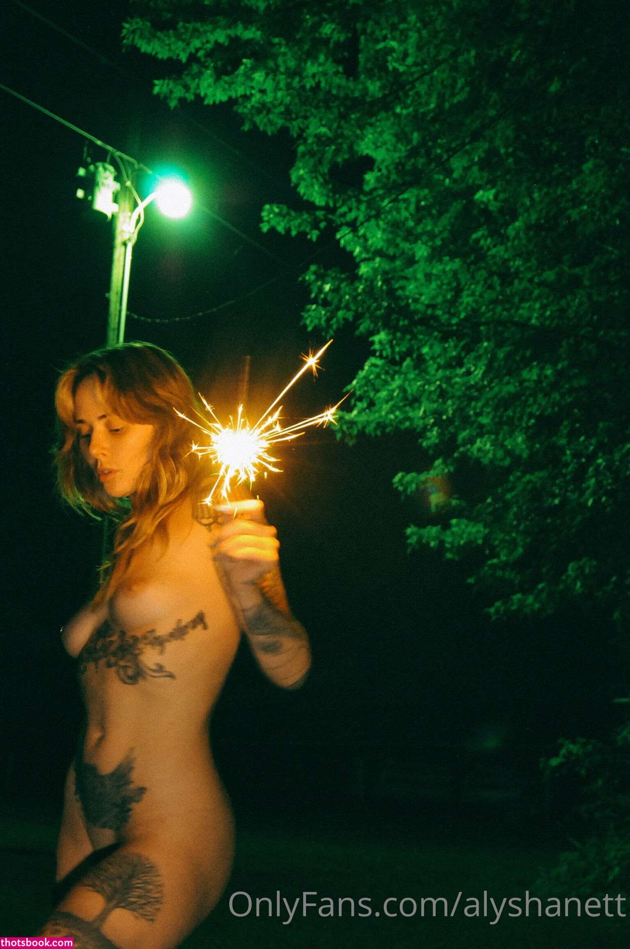 Alysha Nett Nude OnlyFans Photos #17 1086299