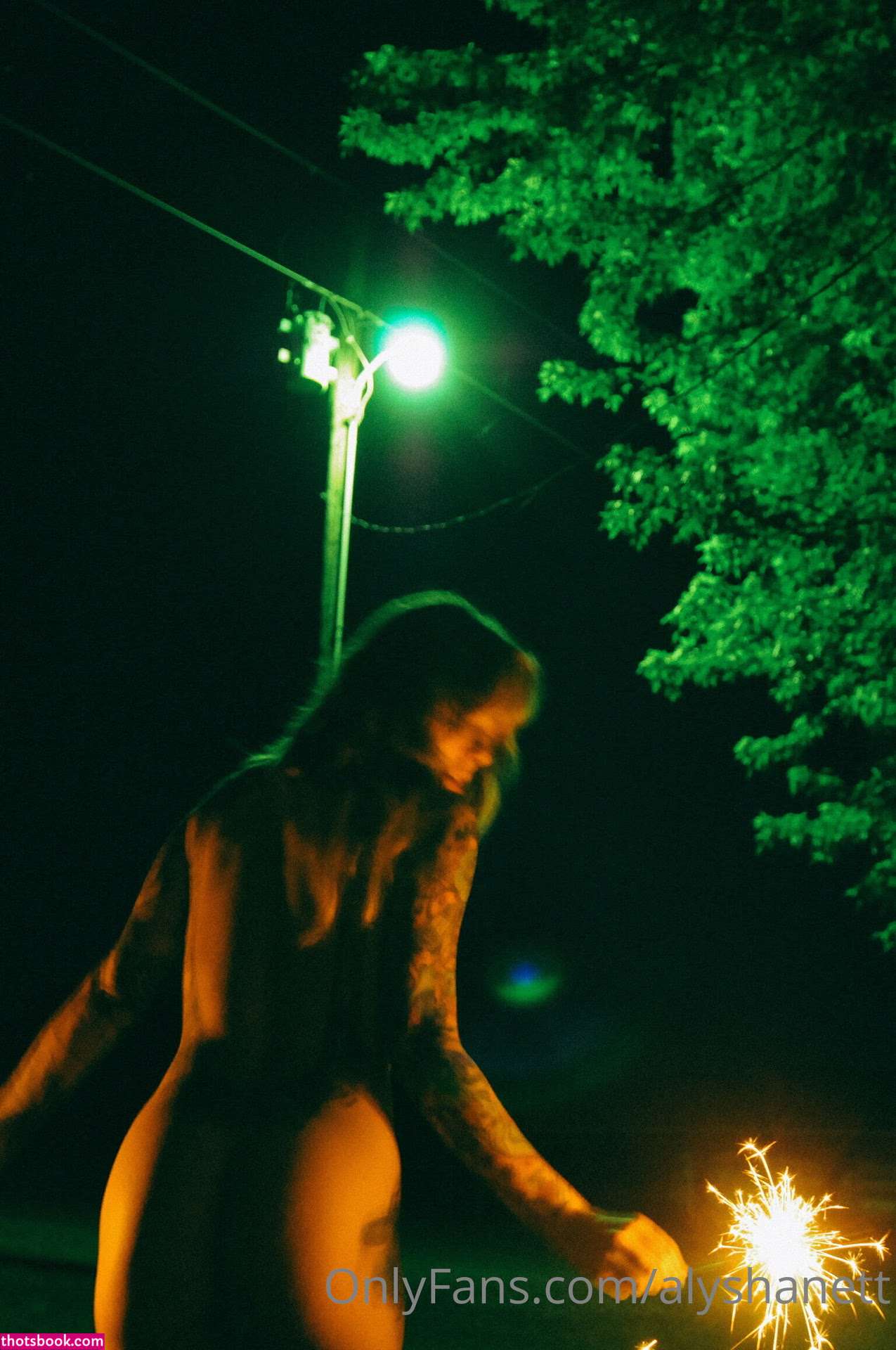 Alysha Nett Nude OnlyFans Photos #17 1086303