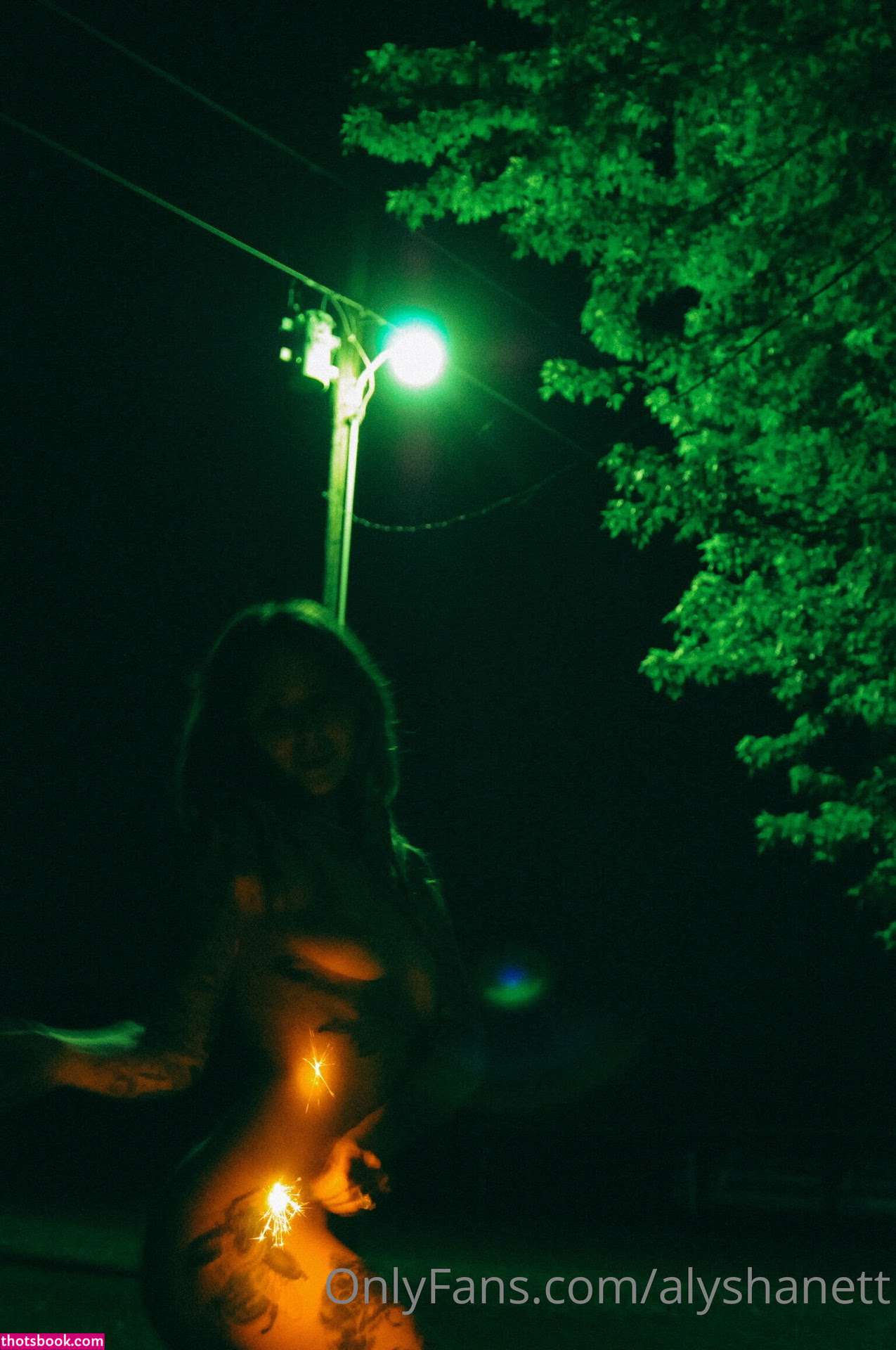 Alysha Nett Nude OnlyFans Photos #17 1086305