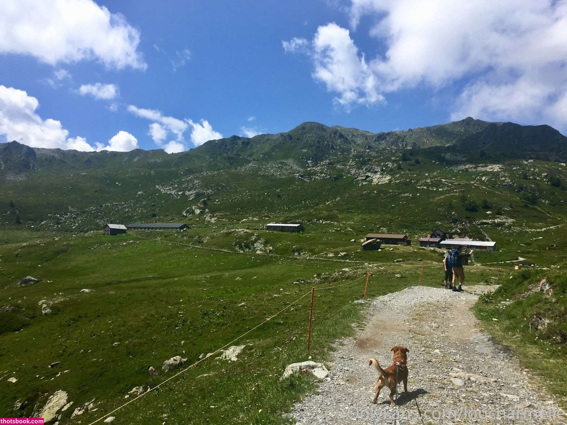 Lou charmelle Nude OnlyFans Photos #1 1086785