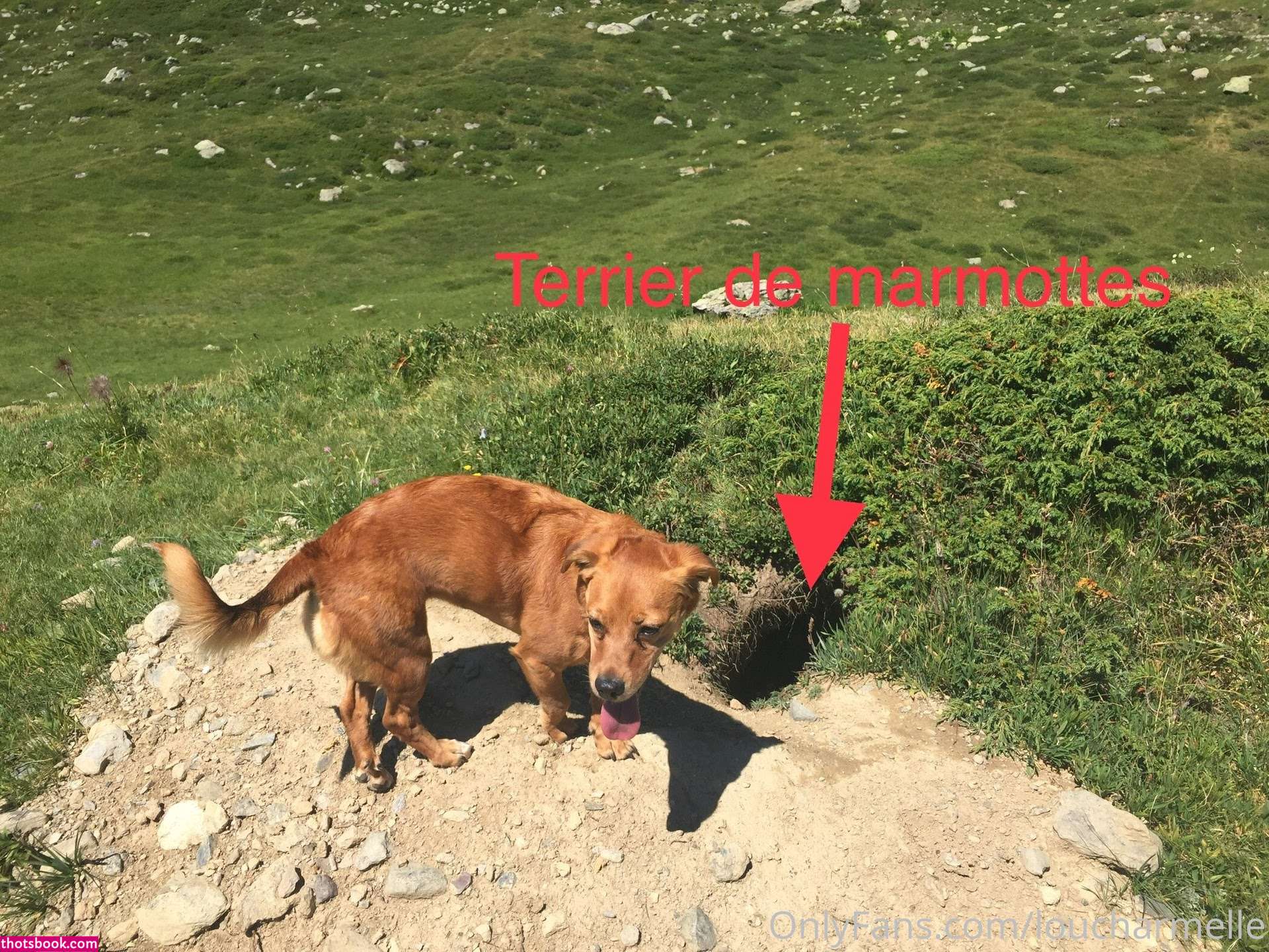 Lou charmelle Nude OnlyFans Photos #1 1086794