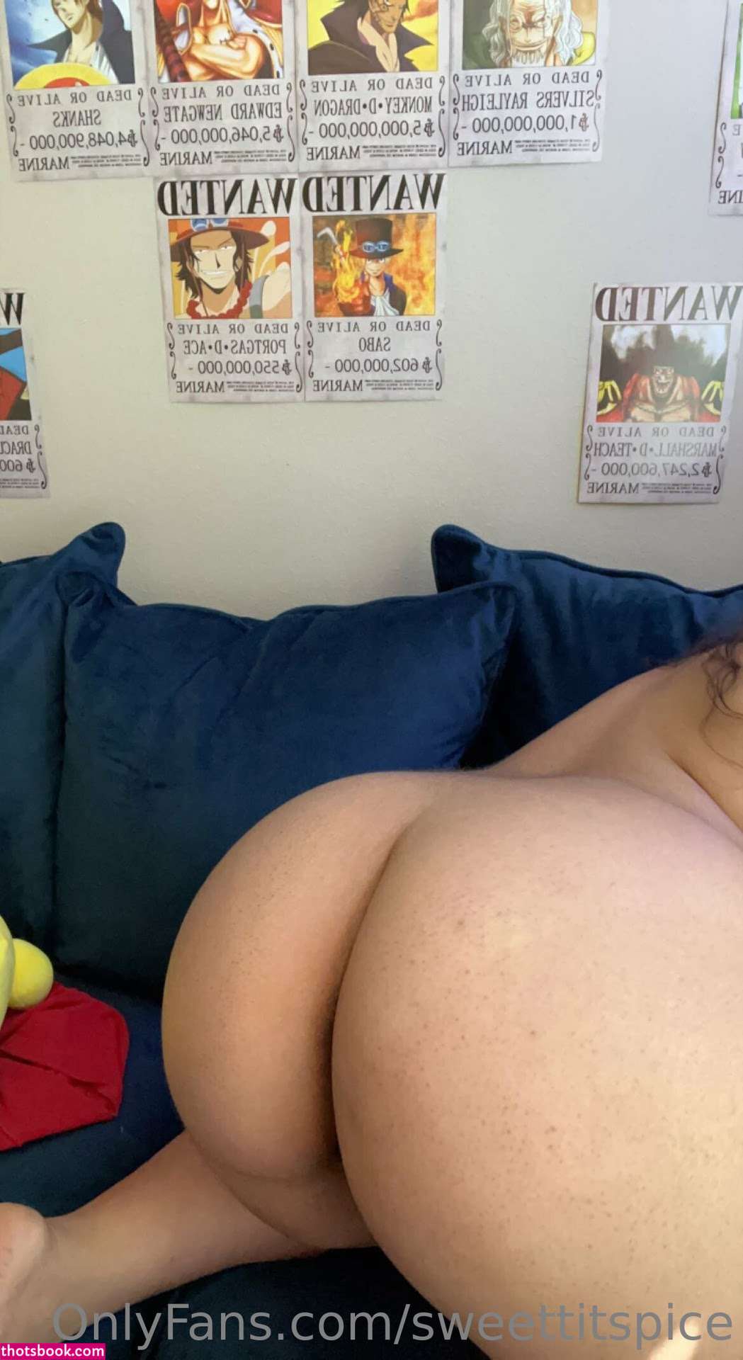 Sweettitspice Nude OnlyFans Photos #10 1088366