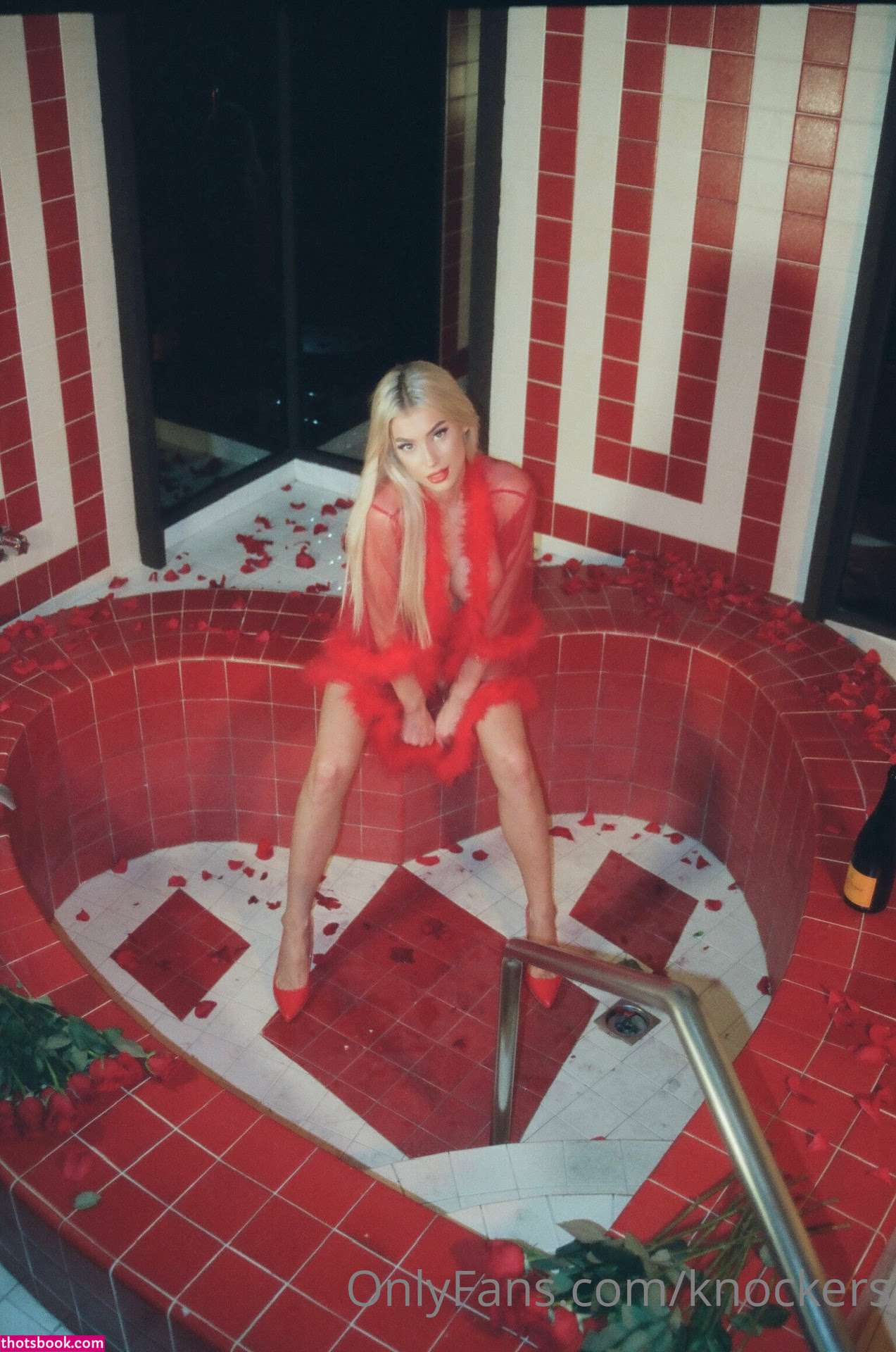 Ashly Schwan Nude OnlyFans Photos #5 1043018