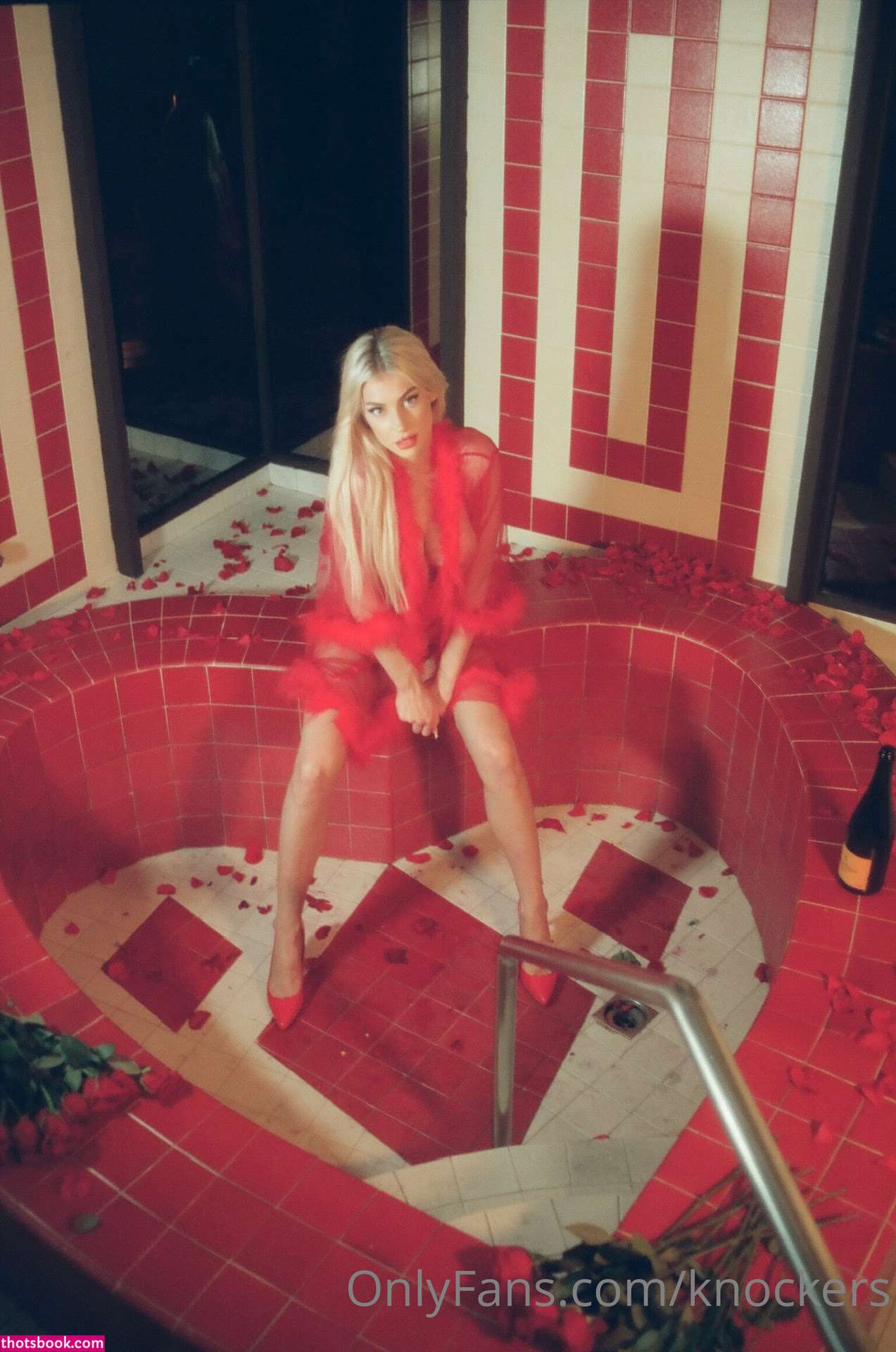 Ashly Schwan Nude OnlyFans Photos #5 1043026