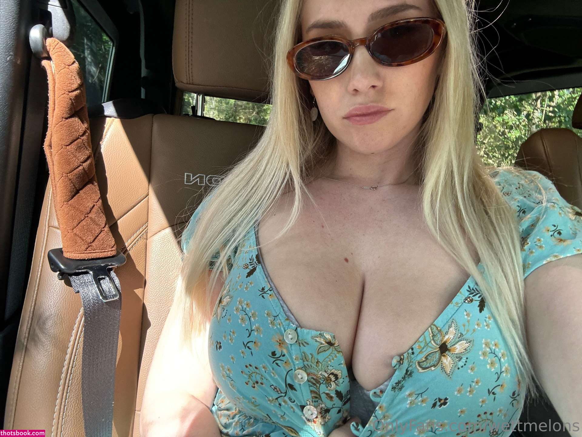 WettMelons Nude OnlyFans Photos #111 1089872