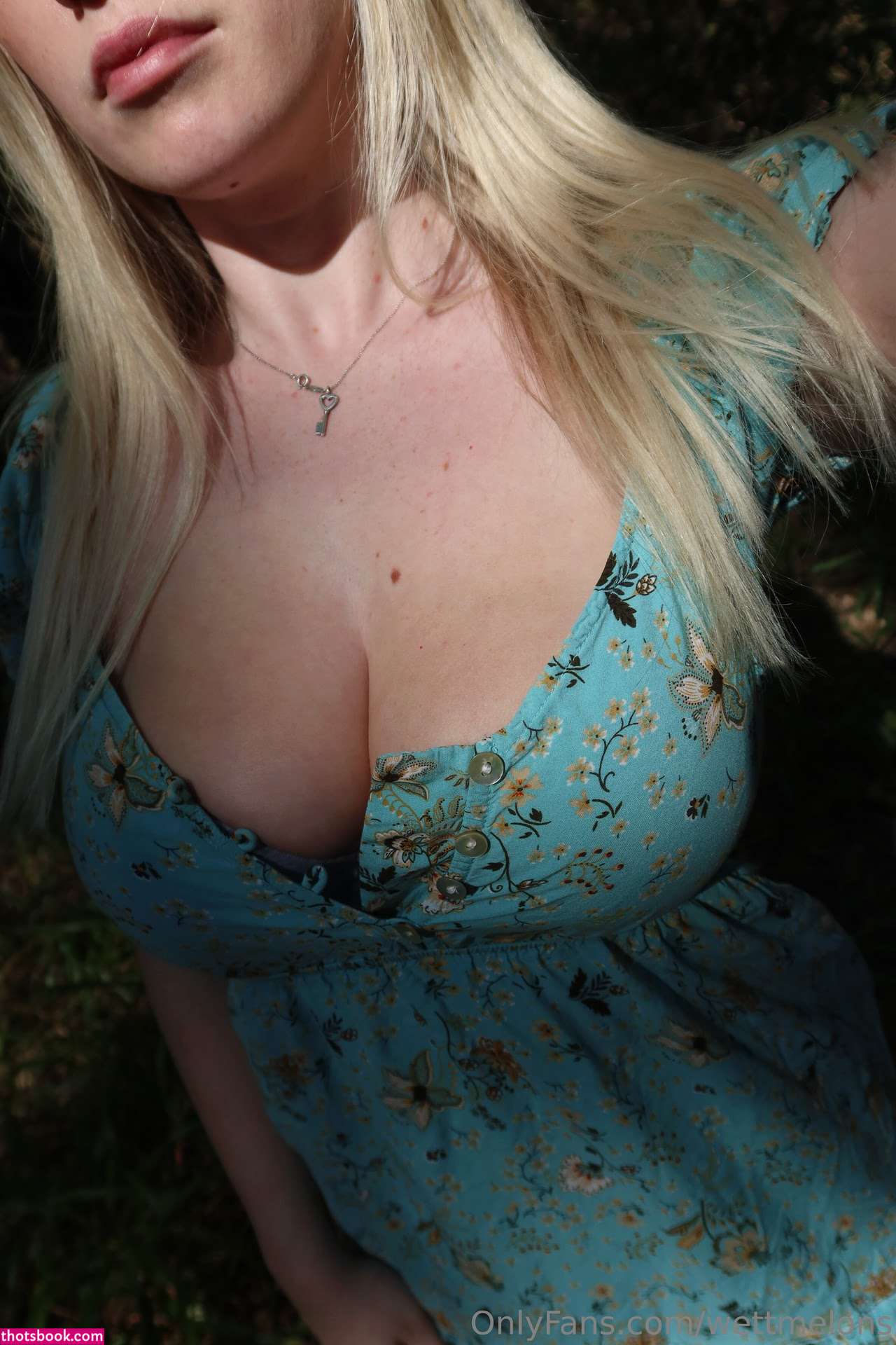 WettMelons Nude OnlyFans Photos #114 1089891