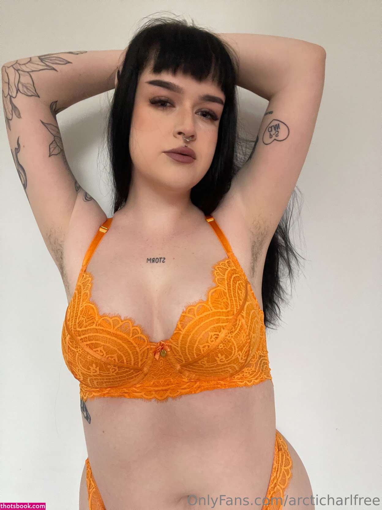 otherarcticharl Nude Leaks OnlyFans Photos #4 1786783