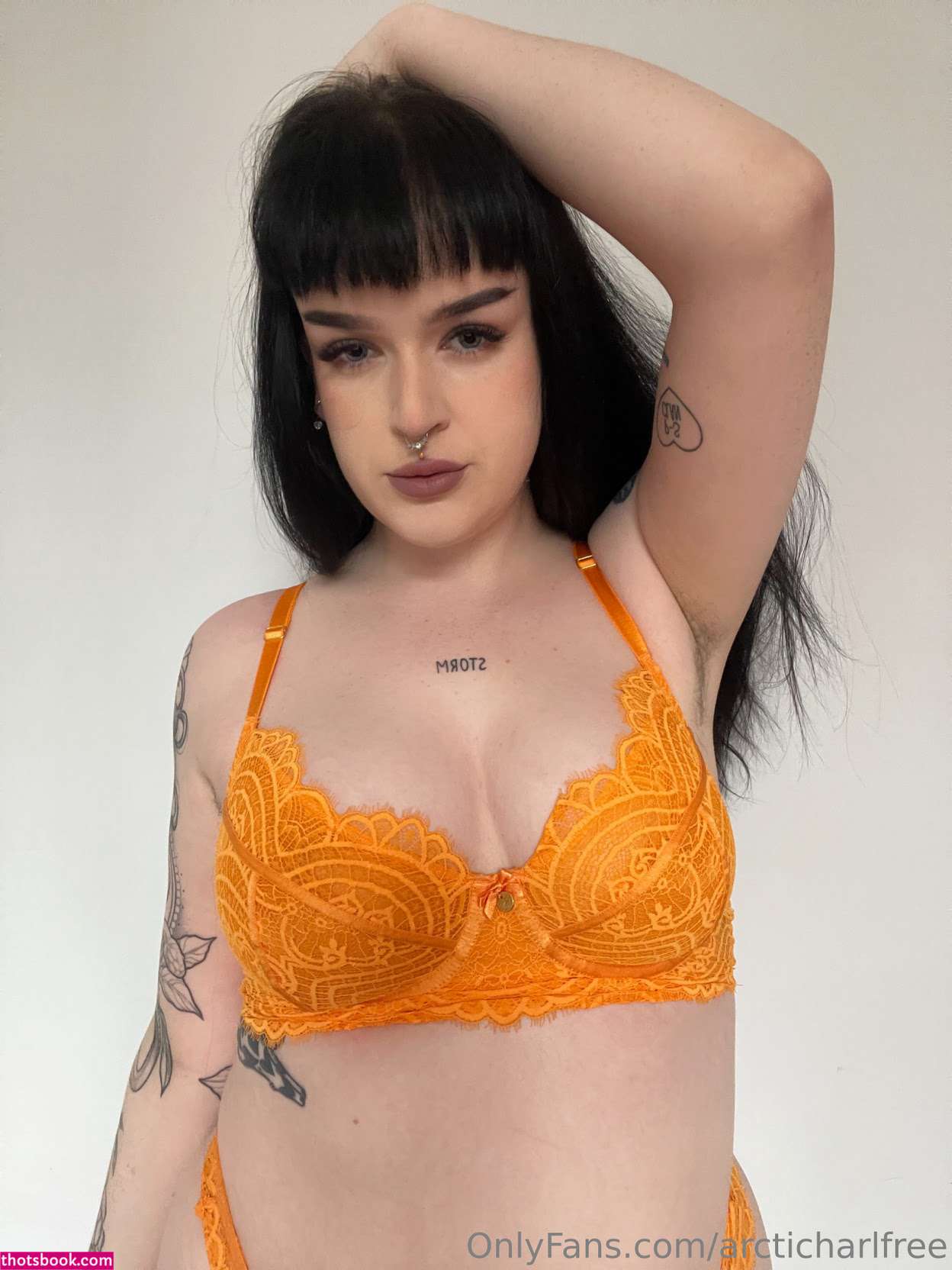 otherarcticharl Nude Leaks OnlyFans Photos #4 1786785