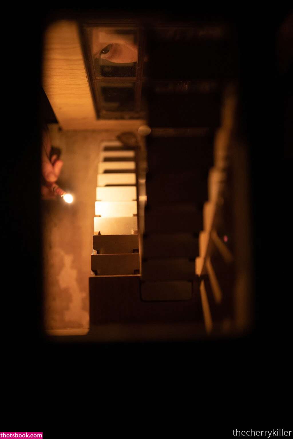 thestrawberrybutcher SuzieSon charlieisomething Nude Leaks OnlyFans Photos #1 1741484