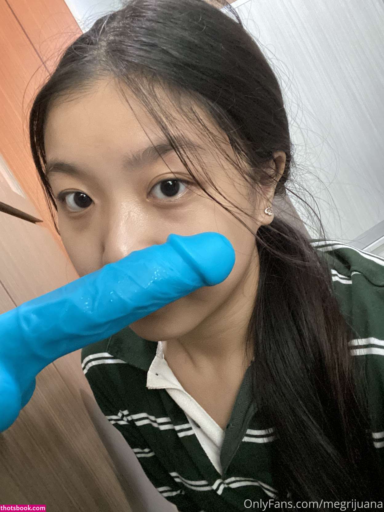 megrijuana meggrijuana Megan Lim Nude Leaks OnlyFans Photos #4 1750202