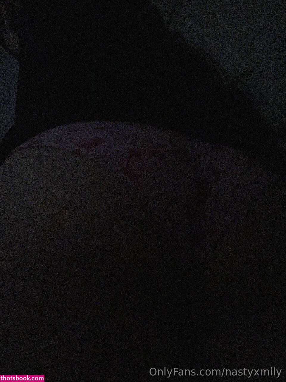 nastyxmily Nude Leaks OnlyFans Photos #6 1765815