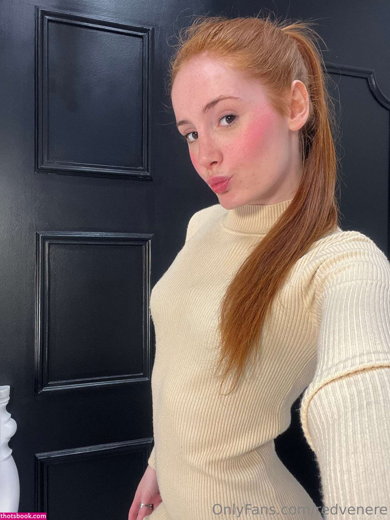redvenere Nude Leaks OnlyFans Photos #1 1778653