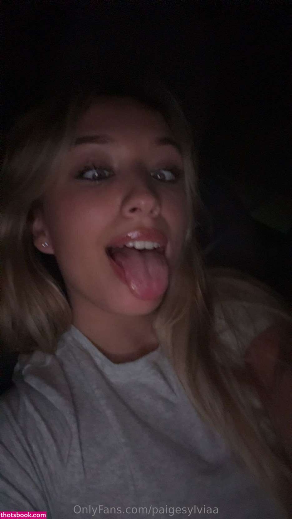 paigesylviaa Nude Leaks OnlyFans Photos #1 1774235