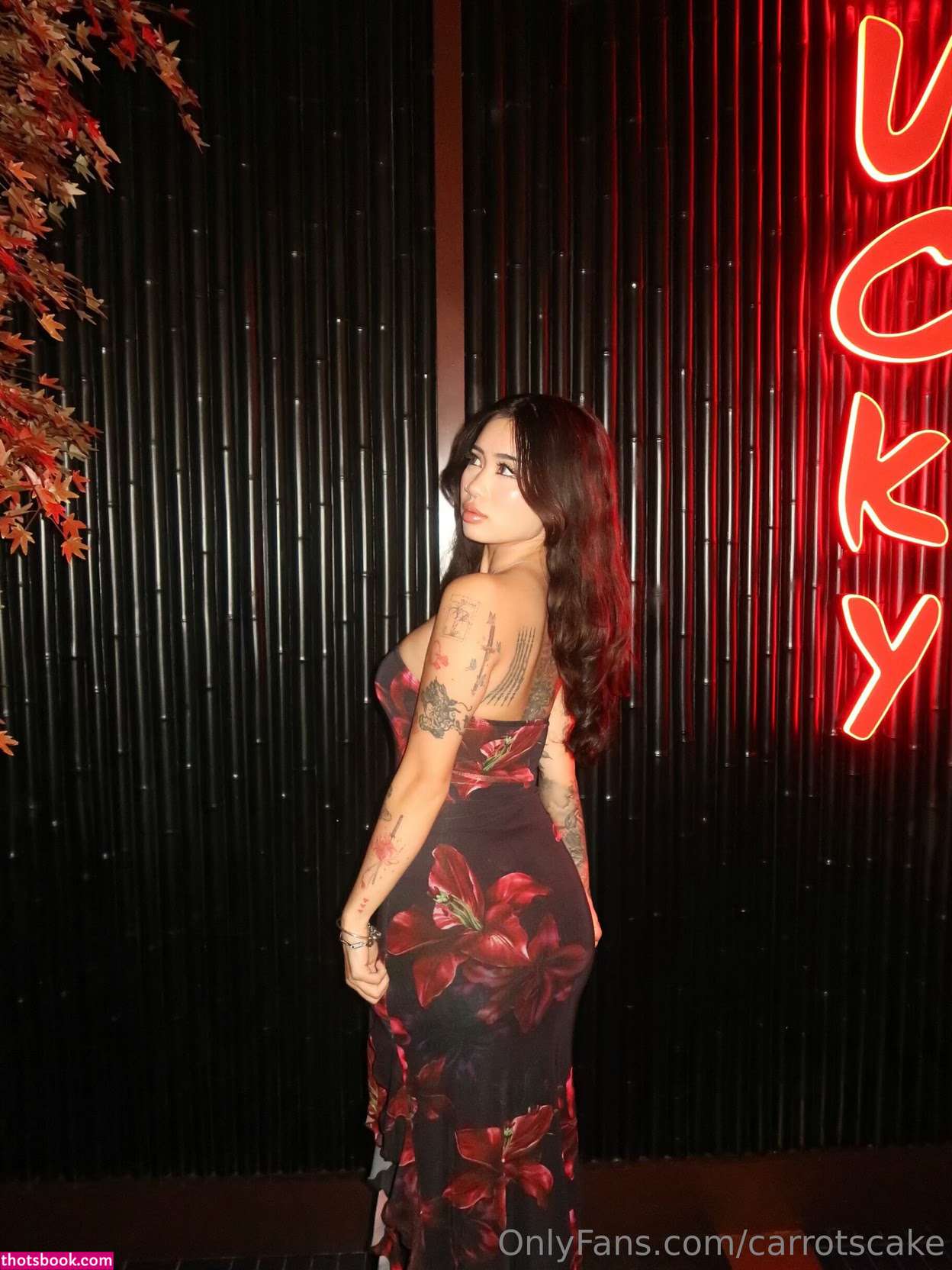 carrotscake Nude Leaks OnlyFans Photos #6 1787078