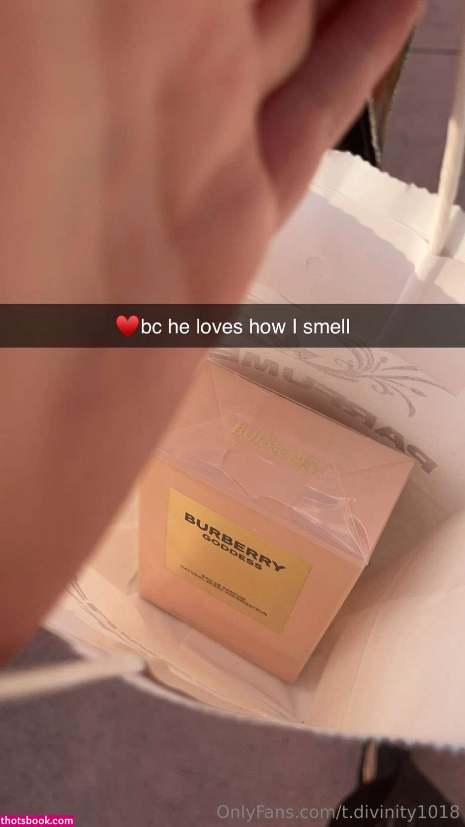 shesonurmind Nude Leaks OnlyFans Photos #2 1788153