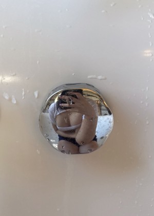 season 812 Nude Leaks OnlyFans Photos #4