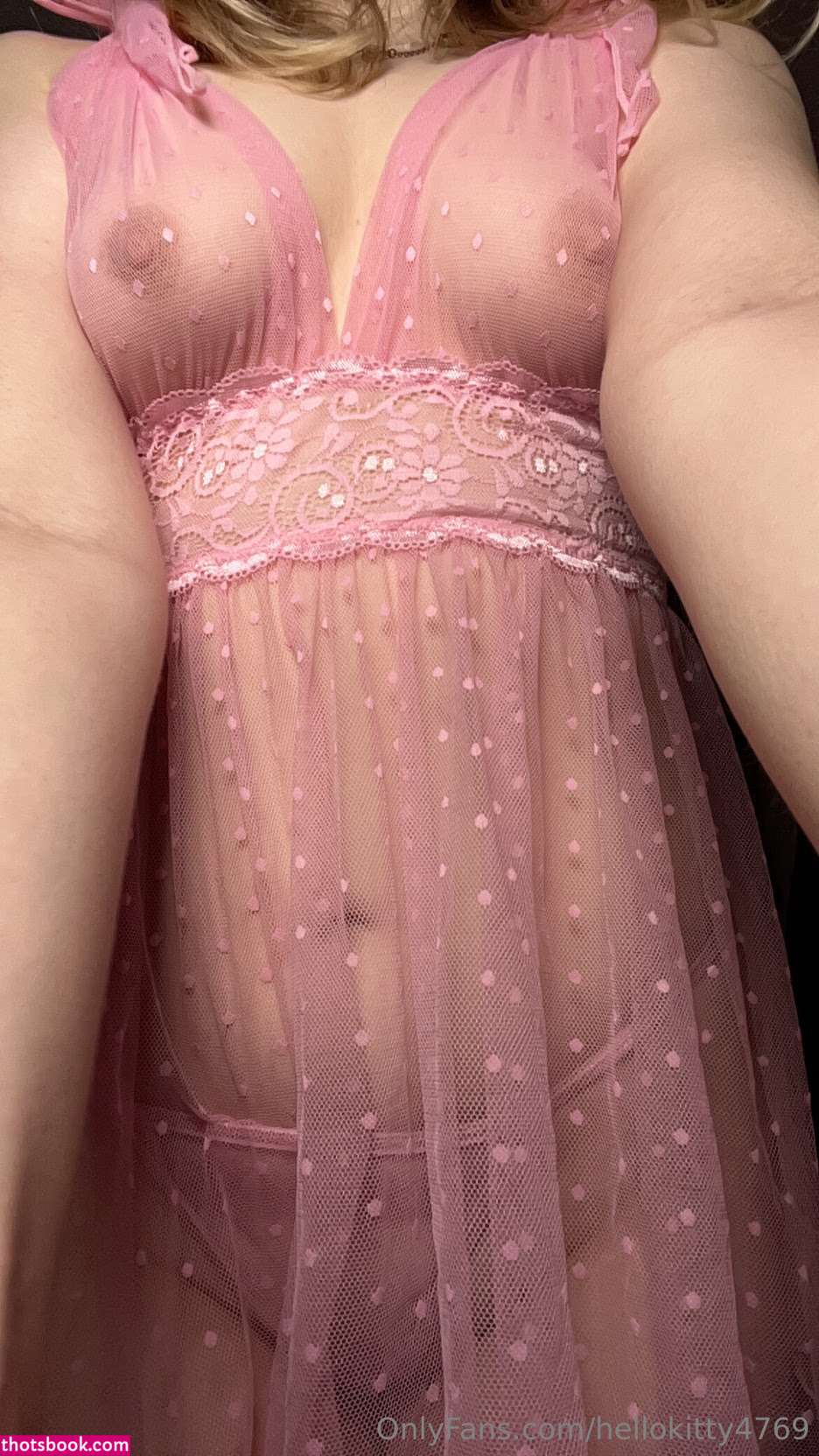 hellokitty4769 Nude Leaks OnlyFans Photos #2 1784124