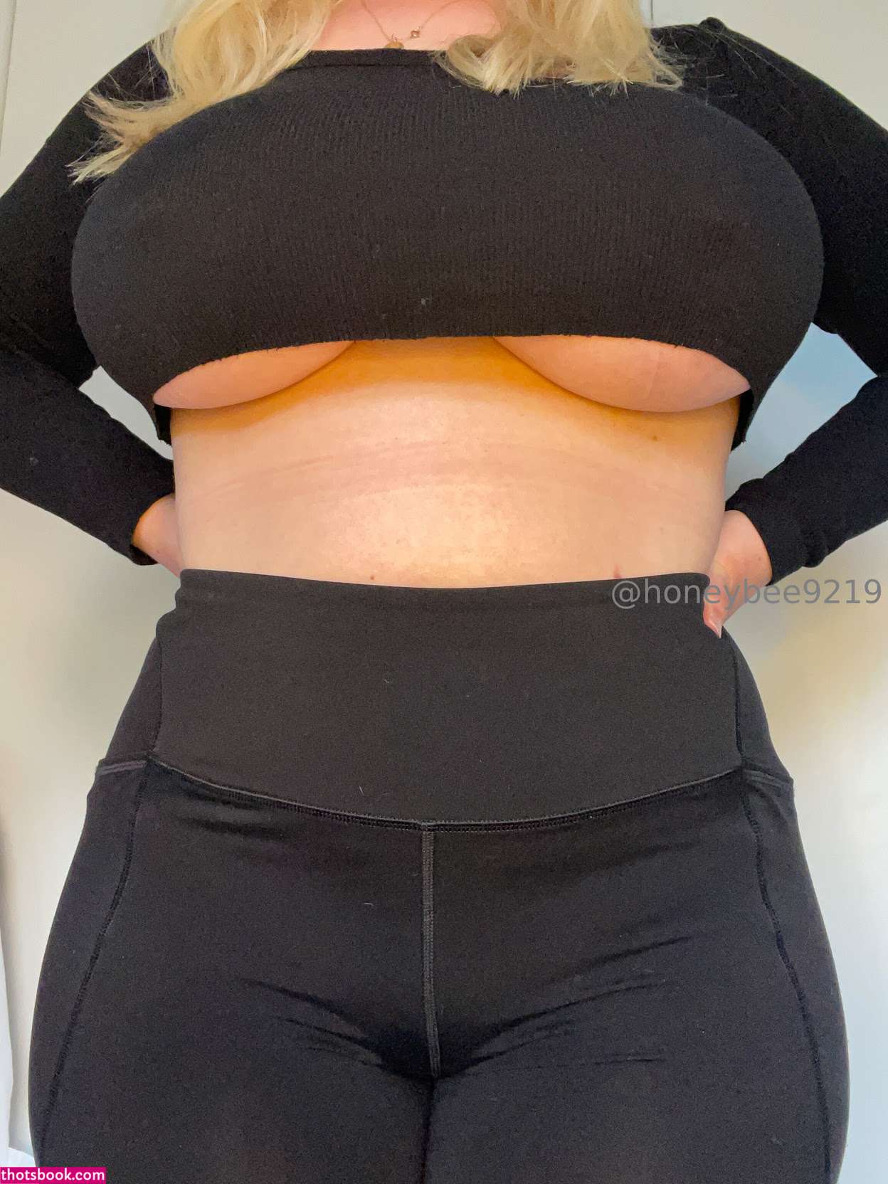 honeybee9219 Nude Leaks OnlyFans Photos #6 1780339