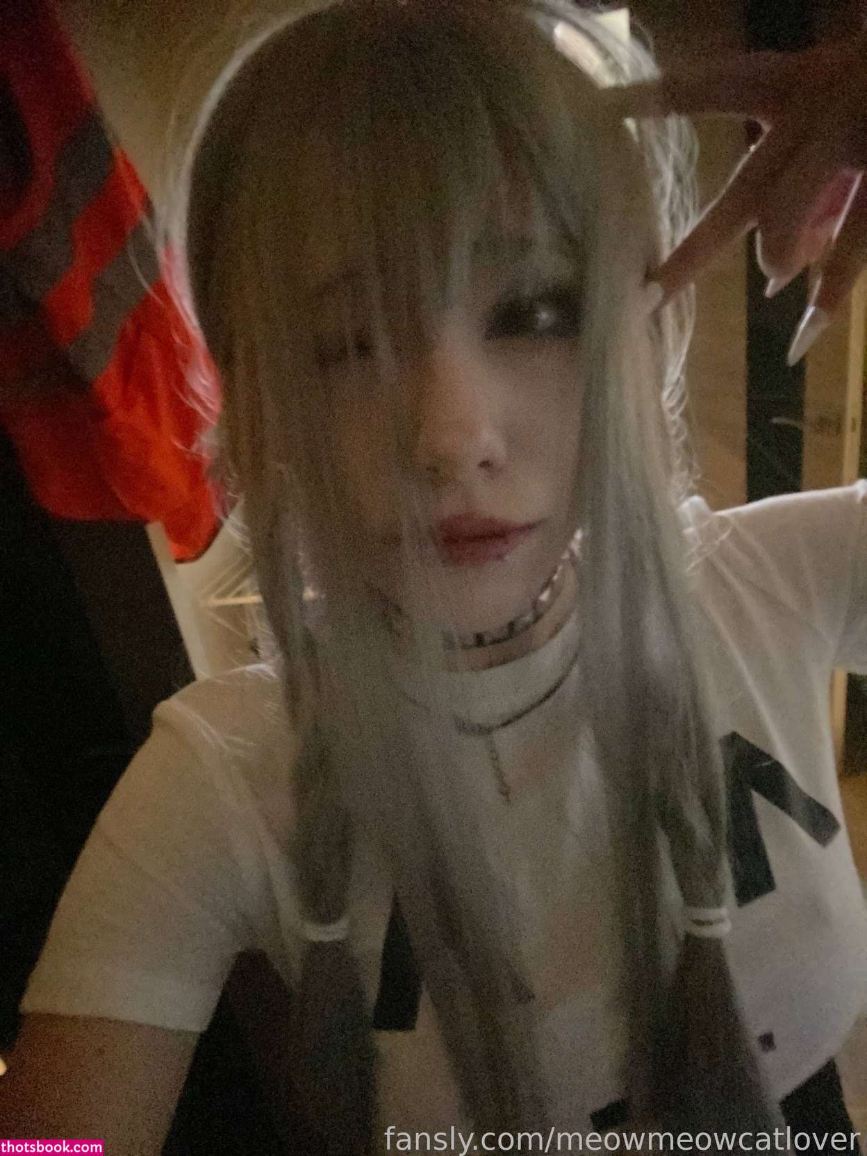 meowmeowcatlover Nude Leaks OnlyFans Photos #1 1756162