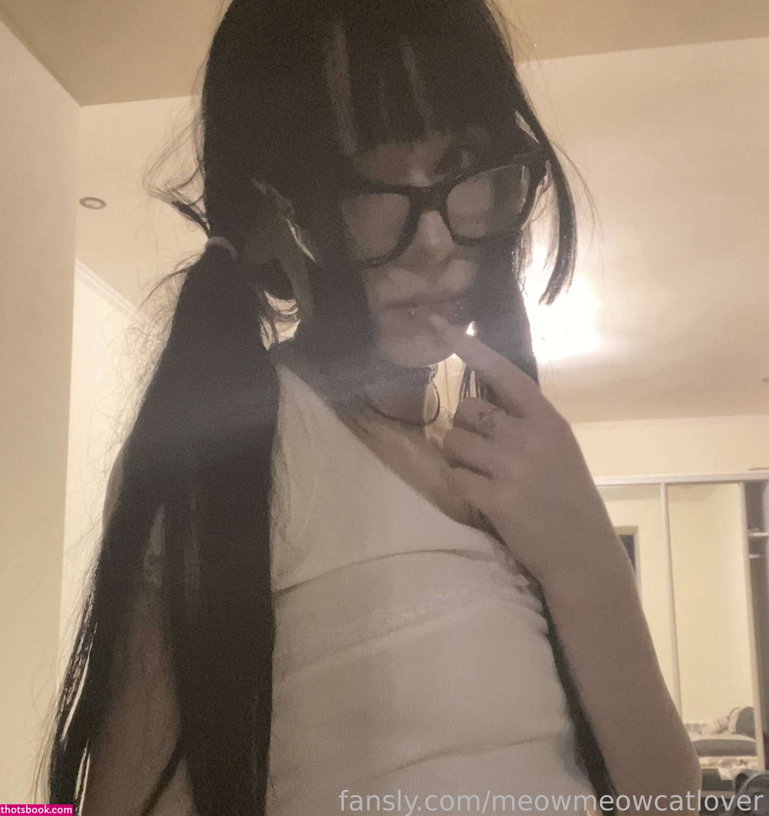 meowmeowcatlover Nude Leaks OnlyFans Photos #1 1756170